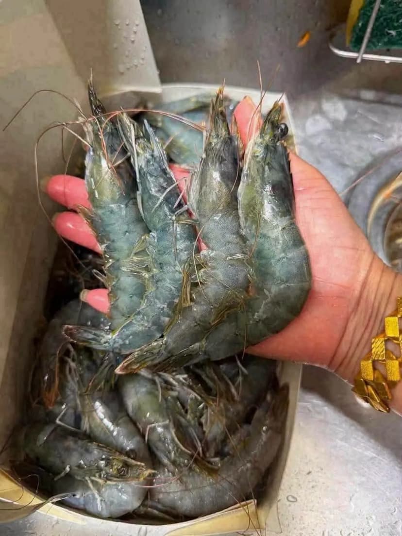 새우2kg 사진 1/2