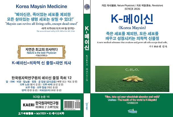 K-메이신