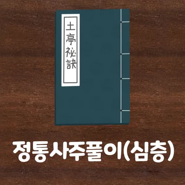 정통사주풀이(심층)