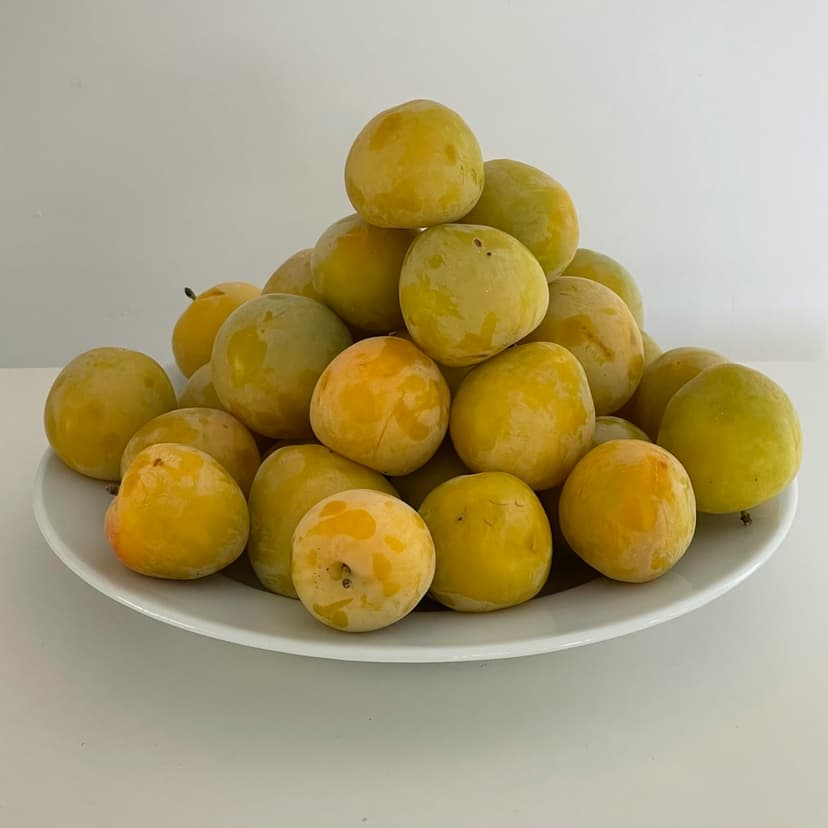 포도향 자두 (2kg) 사진 1/2